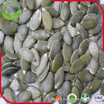 New AA Pumpkin Seed Kernels